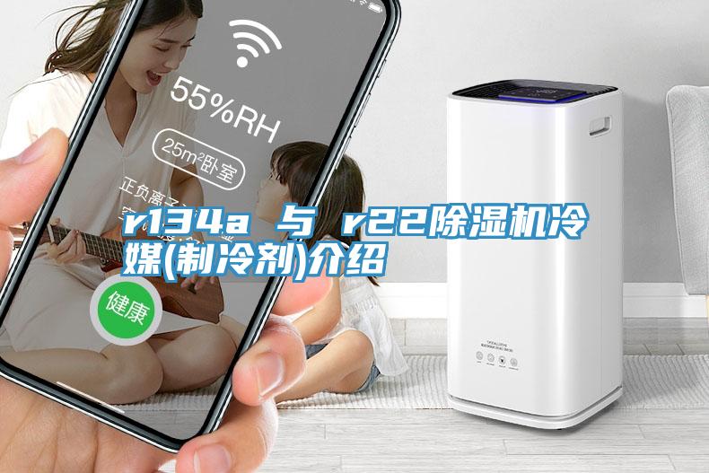 r134a 与 r22除湿机冷媒(制冷剂)介绍