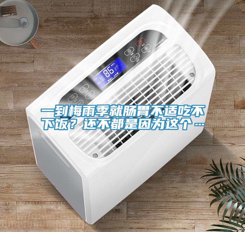 一到梅雨季就腸胃不適吃不下飯？還不都是因為這個…