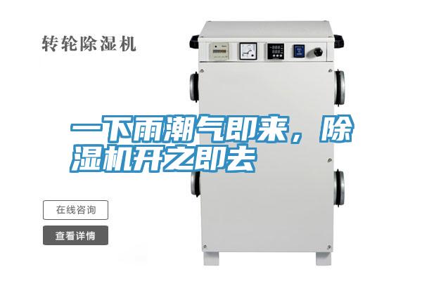 一下雨潮氣即來，除濕機開之即去