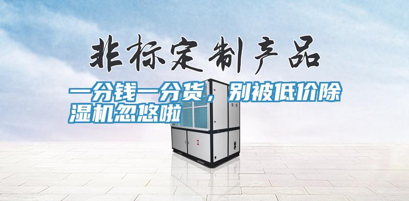 一分錢一分貨，別被低價除濕機忽悠啦