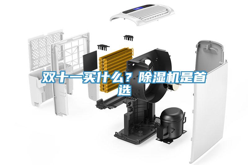 雙十一買什么？除濕機是首選