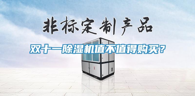 雙十一除濕機(jī)值不值得購買？