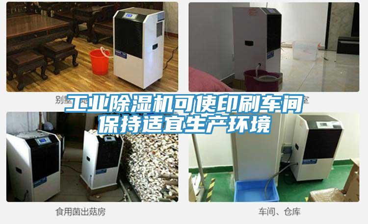 工業除濕機可使印刷車間保持適宜生產環境