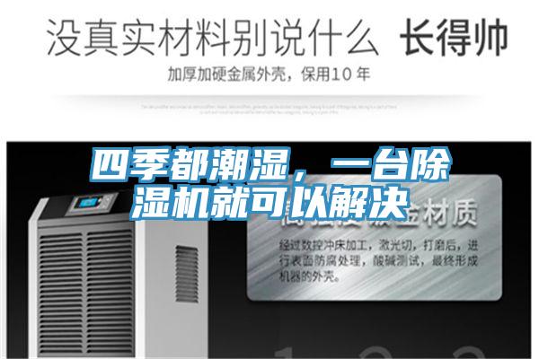 四季都潮濕，一臺除濕機就可以解決