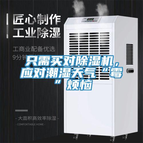 只需買對除濕機，應對潮濕天氣“霉”煩惱