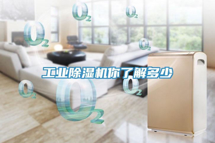 工業(yè)除濕機(jī)你了解多少