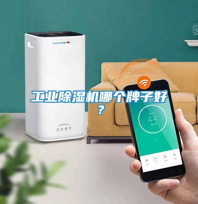 工業除濕機哪個牌子好？