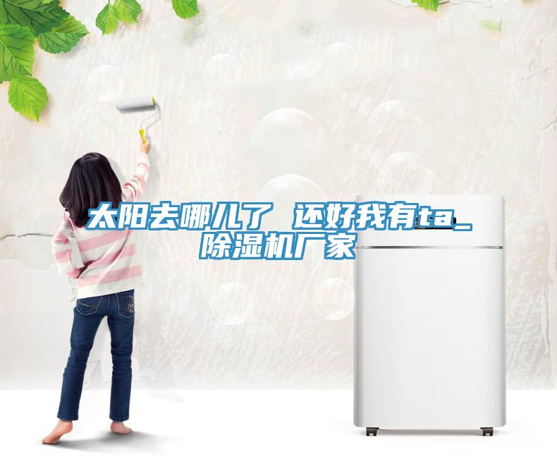 太陽去哪兒了 還好我有ta_除濕機(jī)廠家