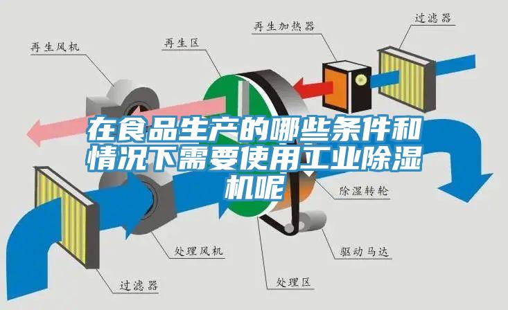 在食品生產的哪些條件和情況下需要使用工業除濕機呢