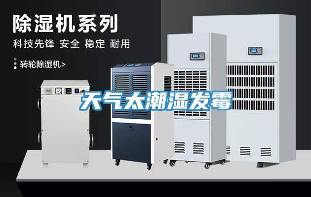 天氣太潮濕發霉