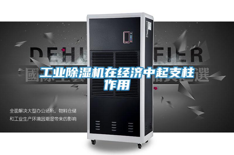 工業(yè)除濕機在經(jīng)濟(jì)中起支柱作用