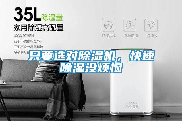 只要選對除濕機，快速除濕沒煩惱