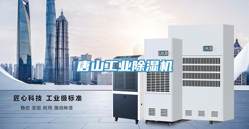唐山工業(yè)除濕機(jī)