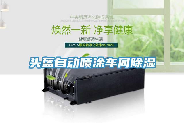 頭盔自動(dòng)噴涂車間除濕