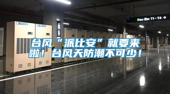 臺(tái)風(fēng)“派比安”就要來(lái)啦！臺(tái)風(fēng)天防潮不可少！