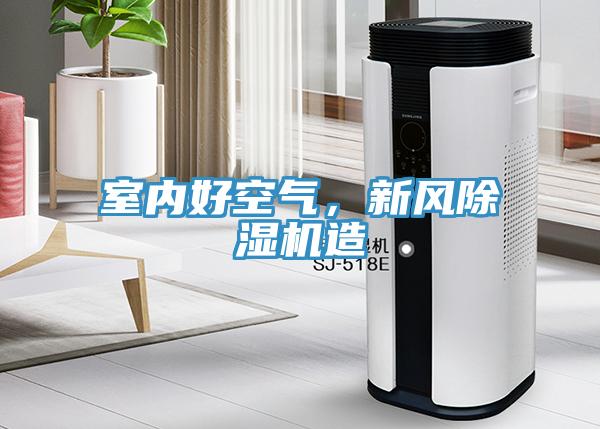 室內好空氣，新風除濕機造
