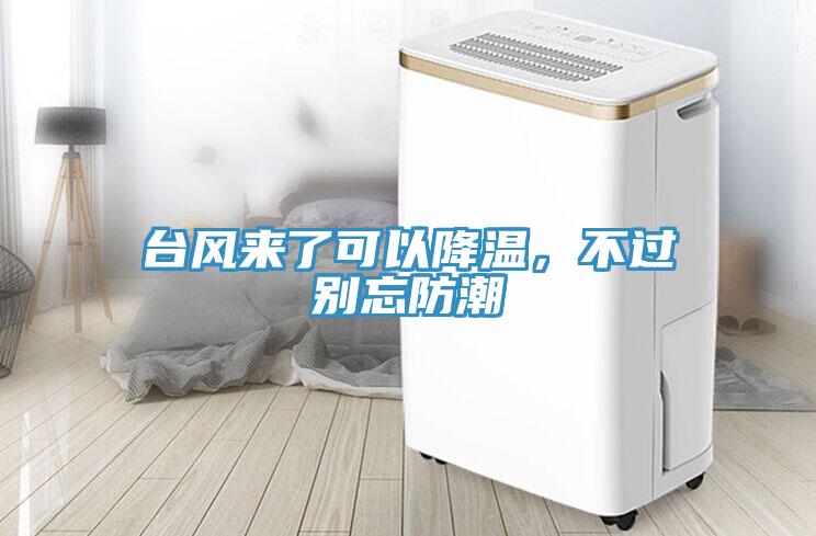 臺(tái)風(fēng)來(lái)了可以降溫，不過(guò)別忘防潮