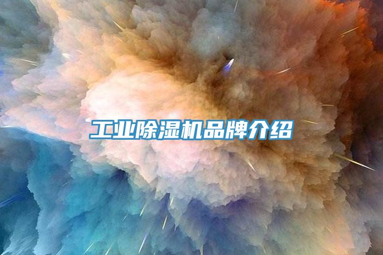 工業除濕機品牌介紹
