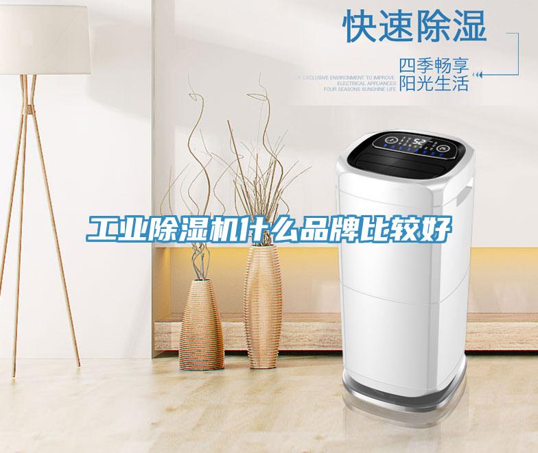 工業除濕機什么品牌比較好