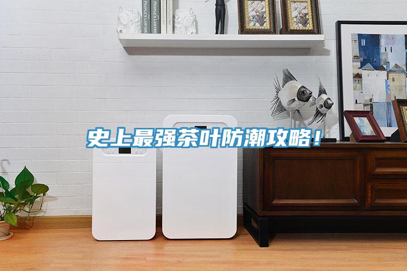 史上最強(qiáng)茶葉防潮攻略！