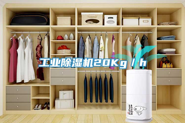 工業除濕機20Kg／h