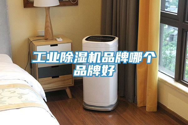 工業除濕機品牌哪個品牌好