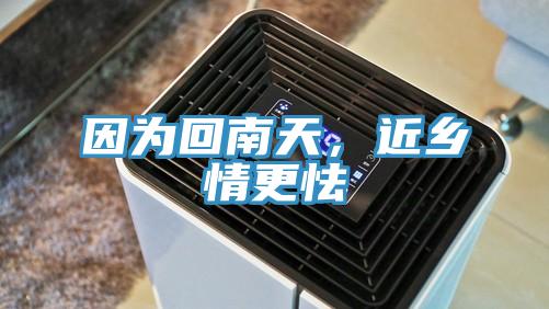 因為回南天，近鄉情更怯