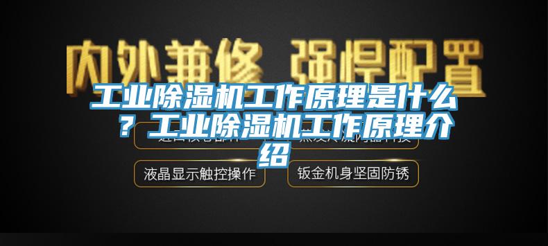 工業除濕機工作原理是什么 ？工業除濕機工作原理介紹