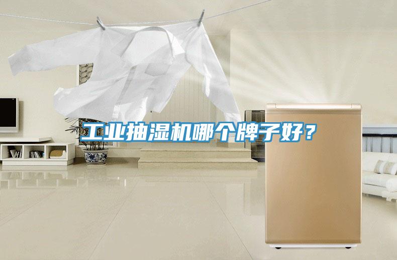 工業抽濕機哪個牌子好？