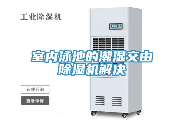 室內泳池的潮濕交由除濕機解決