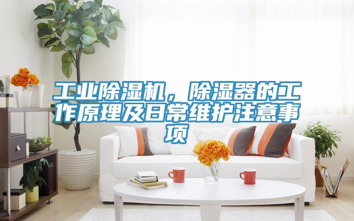 工業除濕機，除濕器的工作原理及日常維護注意事項