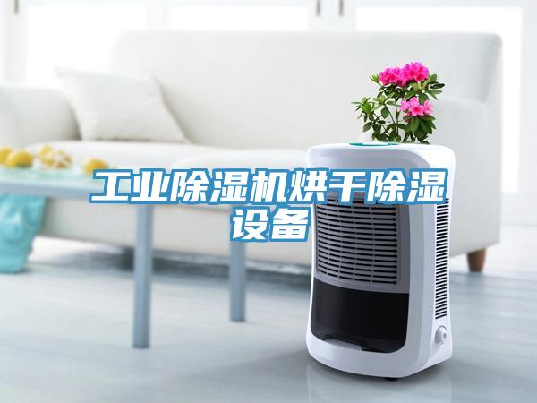 工業(yè)除濕機烘干除濕設備