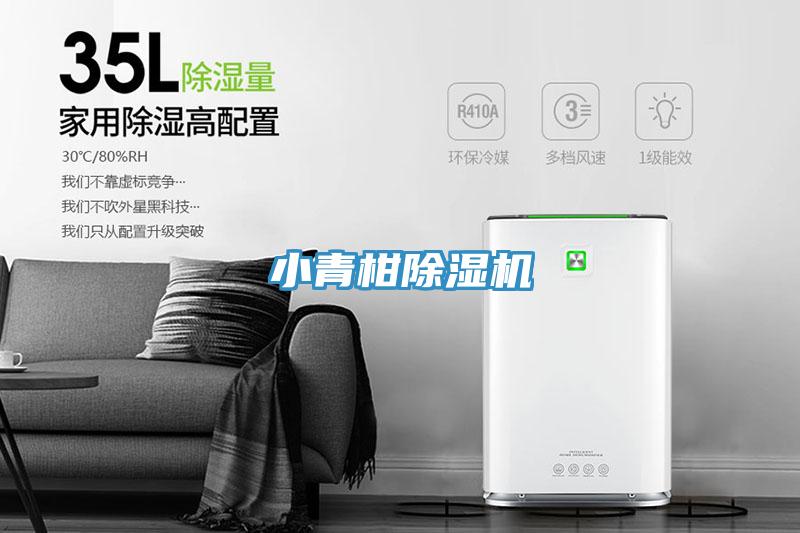 小青柑除濕機
