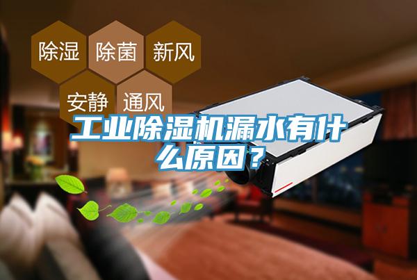 工業(yè)除濕機漏水有什么原因？