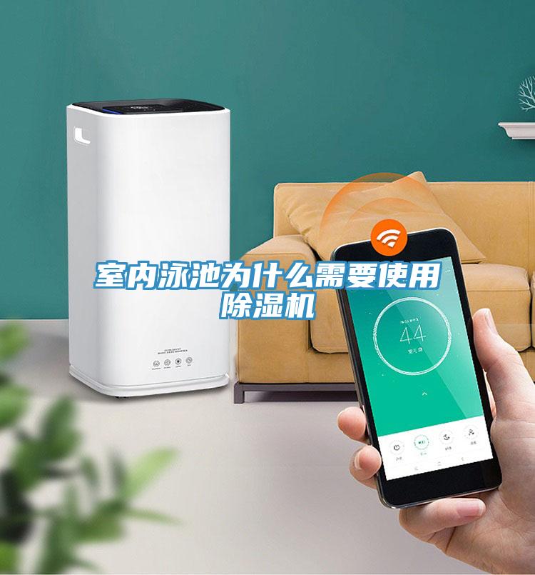 室內泳池為什么需要使用除濕機
