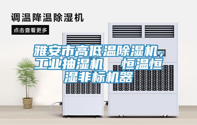 雅安市高低溫除濕機，工業抽濕機  恒溫恒濕非標機器