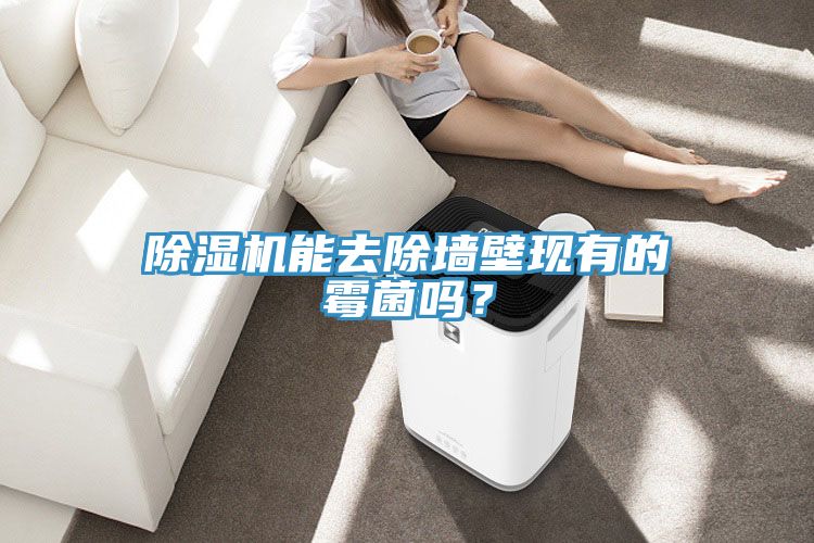 除濕機能去除墻壁現有的霉菌嗎？