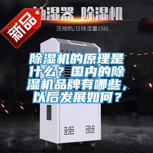 除濕機的原理是什么？國內(nèi)的除濕機品牌有哪些，以后發(fā)展如何？