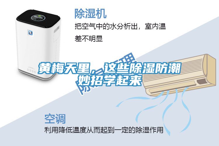 黃梅天里，這些除濕防潮妙招學起來
