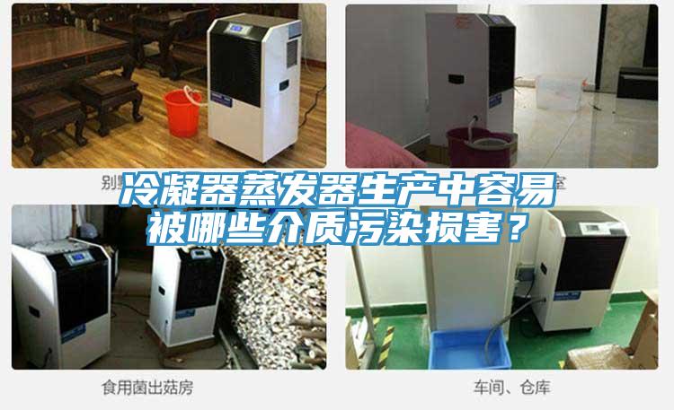 冷凝器蒸發器生產中容易被哪些介質污染損害？