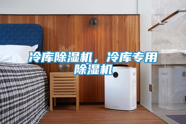 冷庫(kù)除濕機(jī)，冷庫(kù)專(zhuān)用除濕機(jī)