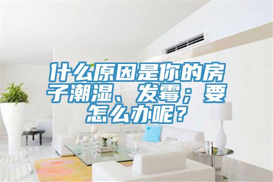 什么原因是你的房子潮濕、發(fā)霉；要怎么辦呢？