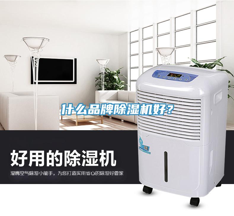 什么品牌除濕機(jī)好？