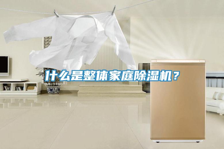 什么是整體家庭除濕機？