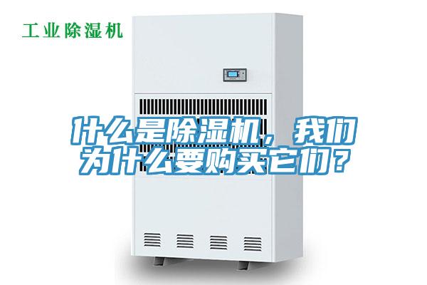 什么是除濕機(jī)，我們?yōu)槭裁匆徺I它們？