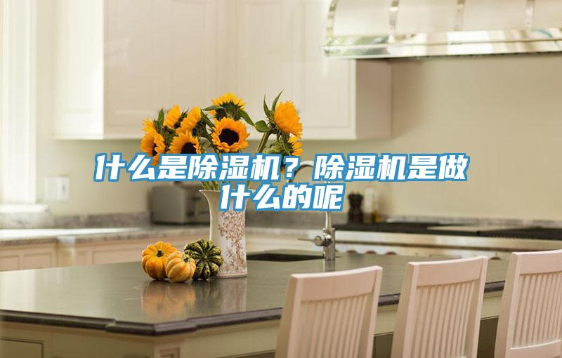 什么是除濕機(jī)？除濕機(jī)是做什么的呢