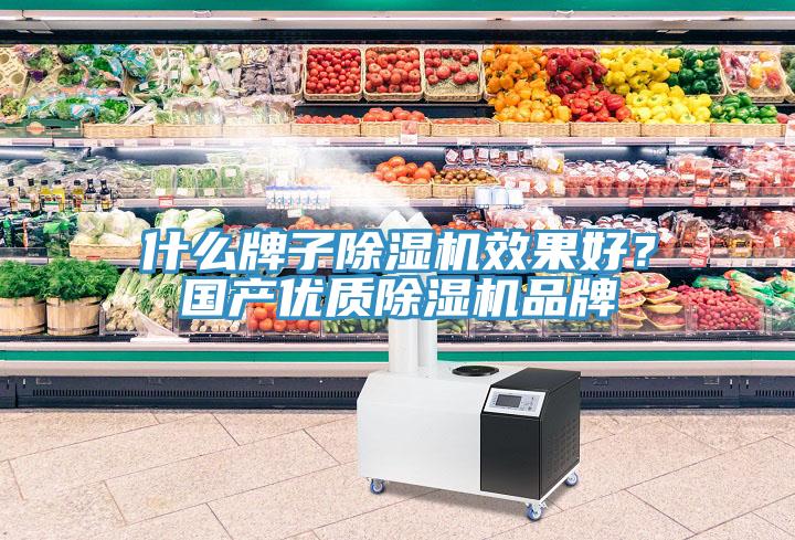 什么牌子除濕機(jī)效果好？國產(chǎn)優(yōu)質(zhì)除濕機(jī)品牌
