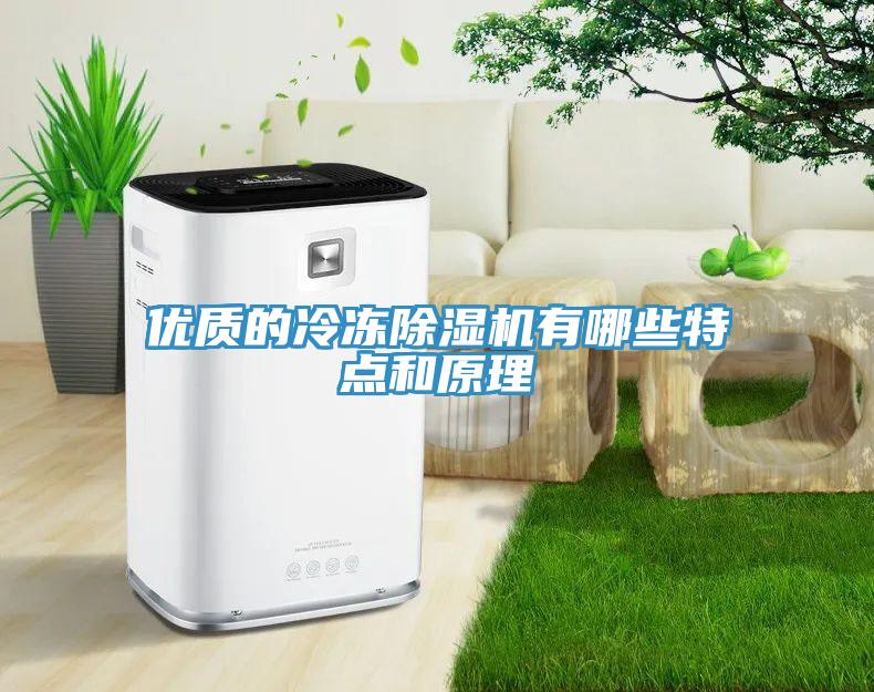 優(yōu)質(zhì)的冷凍除濕機有哪些特點和原理