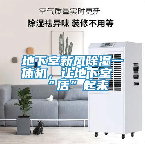 地下室新風(fēng)除濕一體機，讓地下室“活”起來