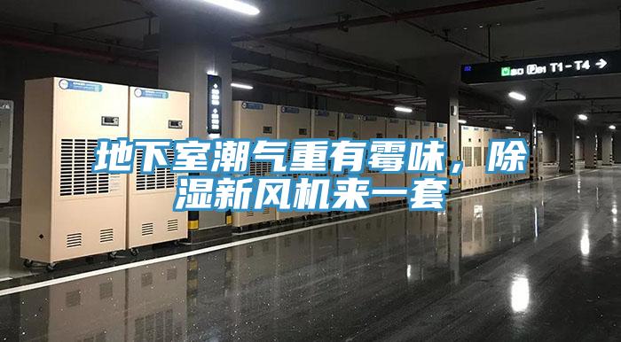 地下室潮氣重有霉味，除濕新風(fēng)機來一套
